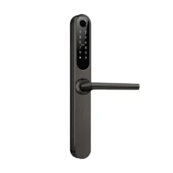 Stealth Electronic Smart Lock On Longplate Graphite Nickel - This Old House