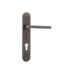 Baltimore Door Lever On Backplate - This Old House