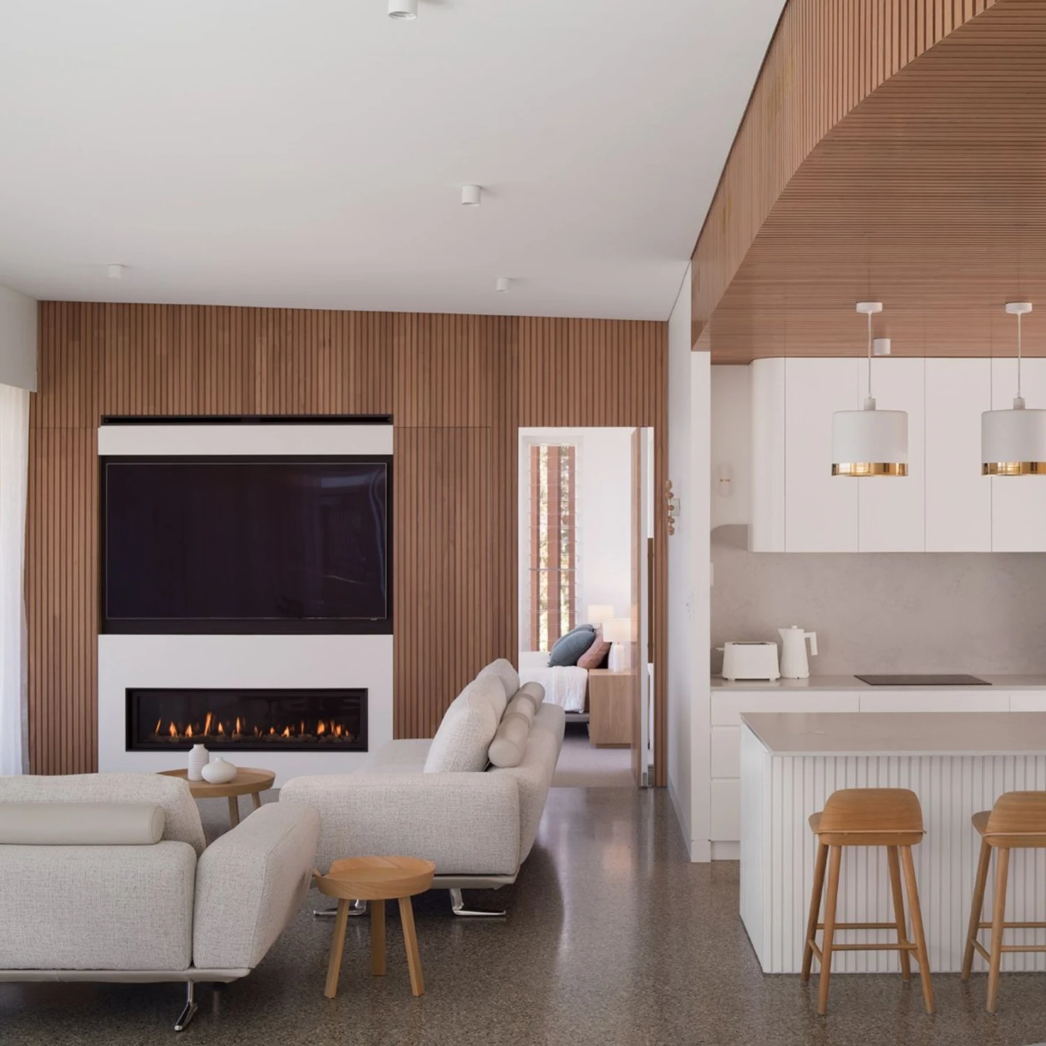 Argenta Pivotica Pro 100kg - This Old House - Image 5